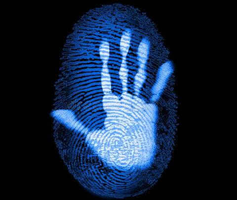 Fingerprint